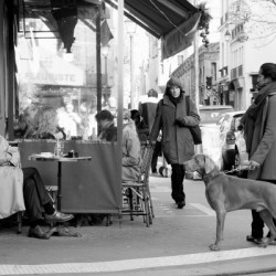 Street Life in Le Marais